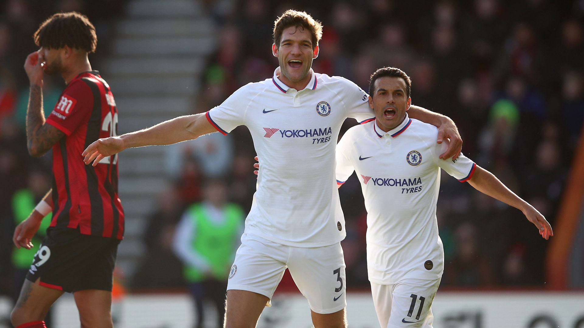 这场比赛证 这场比赛证